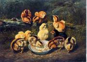 unknow artist chickens 197 oil on canvas